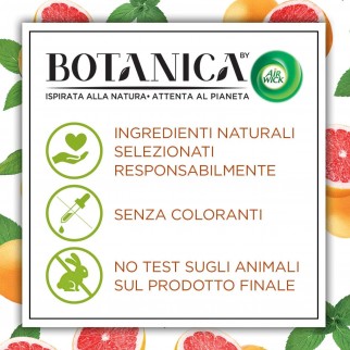 Air Wick Botanica Menta del Marocco e Pompelmo Rosa Profumatore a
