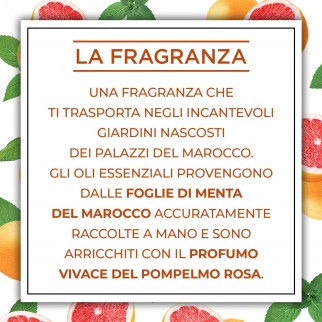 Air Wick Botanica Menta del Marocco e Pompelmo Rosa Profumatore a