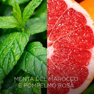 Air Wick Botanica Ricarica per Diffusore Elettrico Menta del Marocco