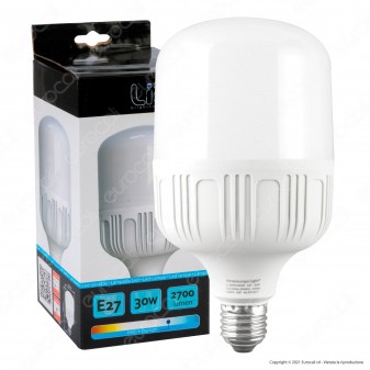 Intereurope Light Lampadina LED E27 30W Bulb T100 - mod. LL-BAYE10030F