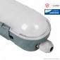 V-Tac VT-150048 Tubo LED Plafoniera M-Series 48W Lampadina 150cm Impermeabile IP65 - SKU 20201 / 20200