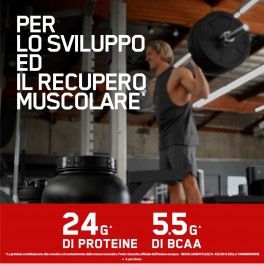 Optimum Nutrition Gold Standard 100% Whey Proteine Isolate in Polvere