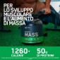 Immagine 2 - Optimum Nutrition Serious Mass Proteine Whey in Polvere per Sviluppo