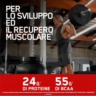 Optimum Nutrition Proteine Whey Serious Mass Cioccolato 2,73kg e Gold