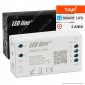 LED Line Variante Modulo Controller Dimmer Wi-Fi 2,4 GHz per Strisce LED RGB 12V e 24V - mod. 471291