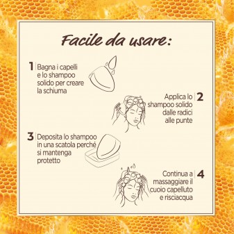Garnier Ultra Dolce Shampoo Solido Tesori di Miele - Saponetta da 60g