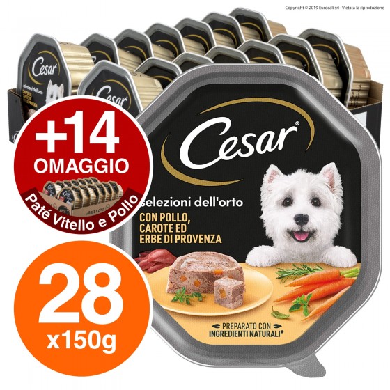 28 Vaschette Cesar Selezioni dell'Orto con Pollo Carote e Erbe di 28 Vaschette Cesar Selezioni dell'Orto con Pollo Carote e Erbe di
