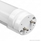 Immagine 2 - Silvanylux Tubo LED T8 Mod. Meat Tube G13 18W Lampadina 120cm per