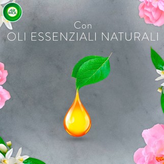 Air Wick Diffusore di Fragranze con Oli Essenziali e Ricarica Peonia