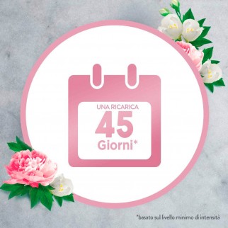 Air Wick Diffusore di Fragranze con Oli Essenziali e Ricarica Peonia