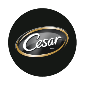 Cesar