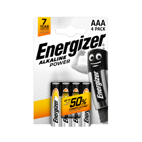 Batterie Alcaline