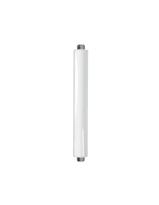 S19
