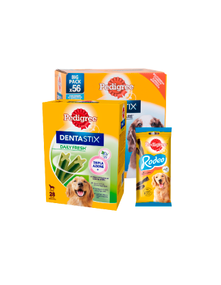 Igiene Dentale