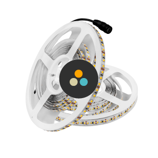 Strisce LED Monocolore