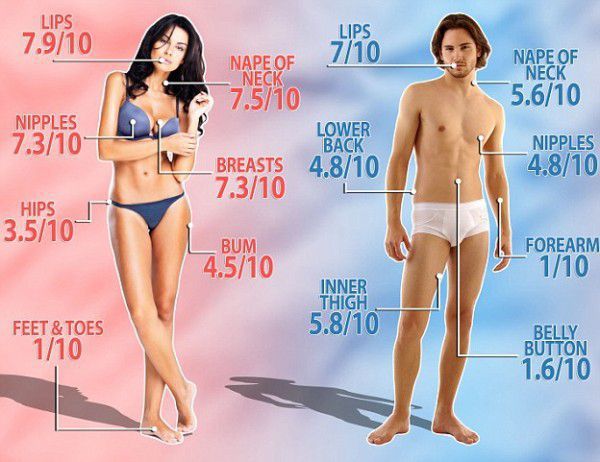 zone erogene del corpo maschile e femminile