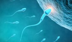 Fertilità maschile: quali sono i mesi più adatti per procreare?