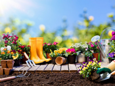 Checklist: come gestire il giardino in primavera?