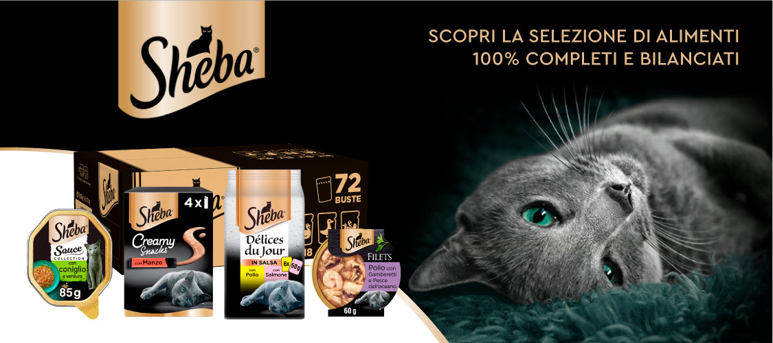 Sheba